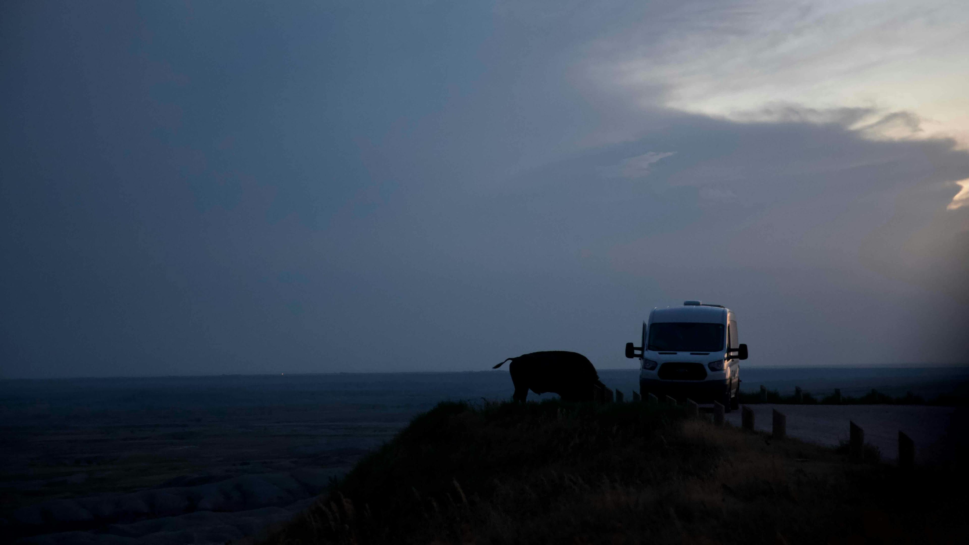 A bison next to a van at Badlands National Park