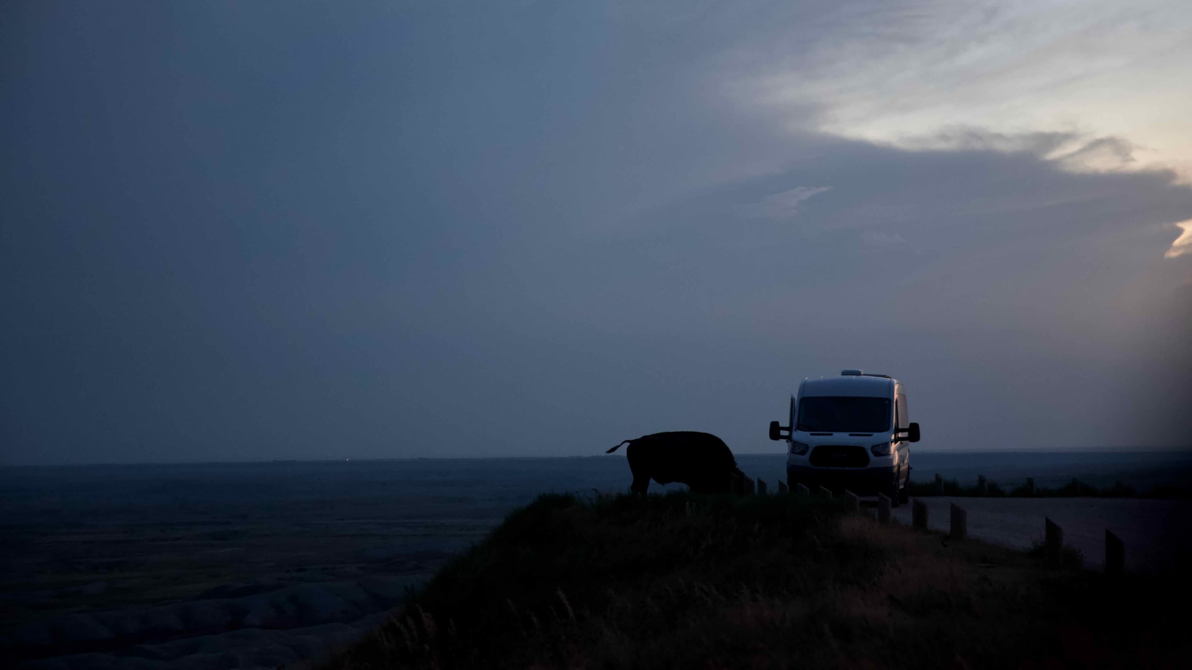 A bison next to a van at Badlands National Park